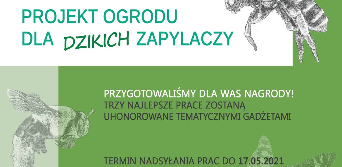 Plakat konkursowy - pszczoły