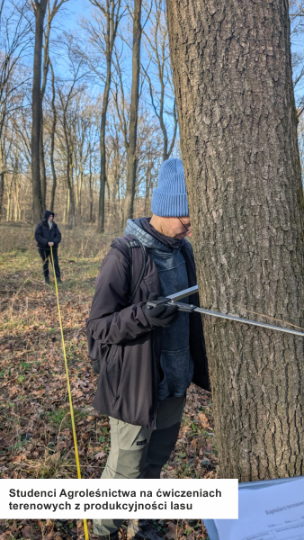 Studenci Agroleśnictwa na ćwiczeniach terenowych z produkcyjności lasu