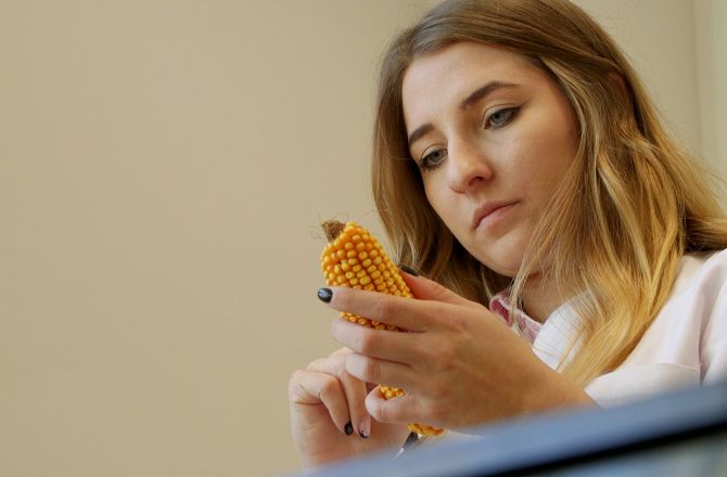 ROLNICTWO // UNIWERSYTET RZESZOWSKI