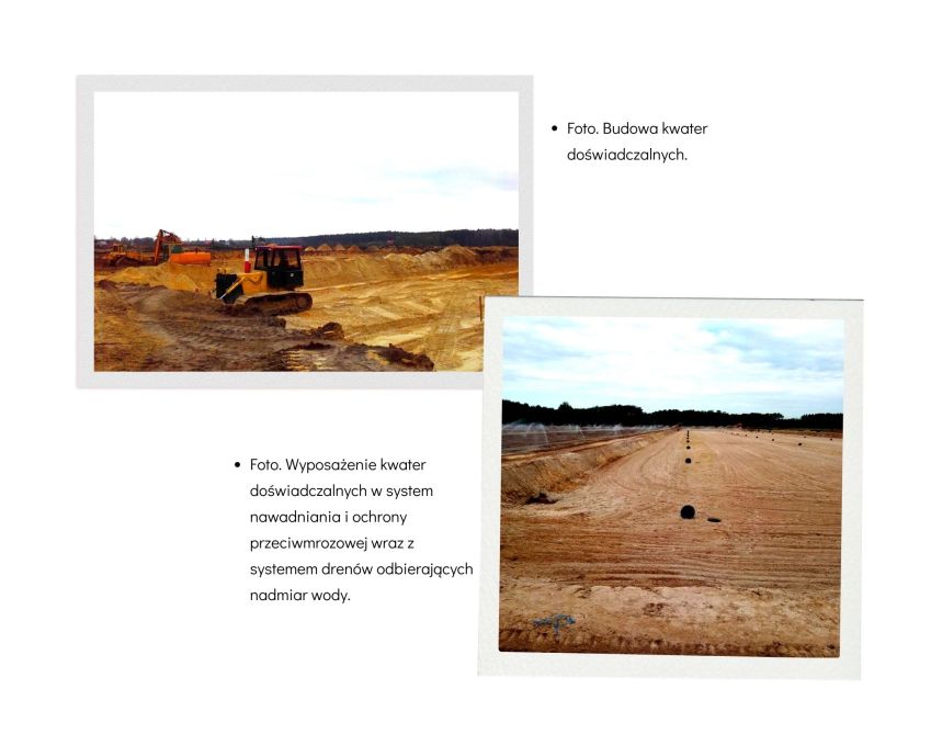 Pole uprawne i koparka