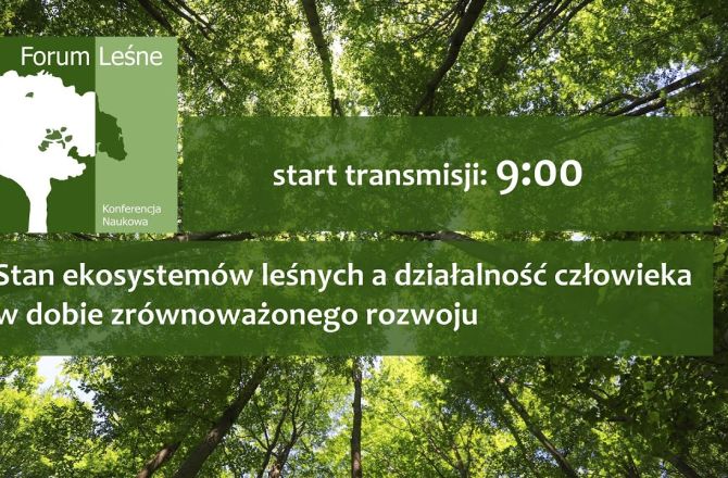 Forum leśne w Uniwersytecie Rzeszowskim