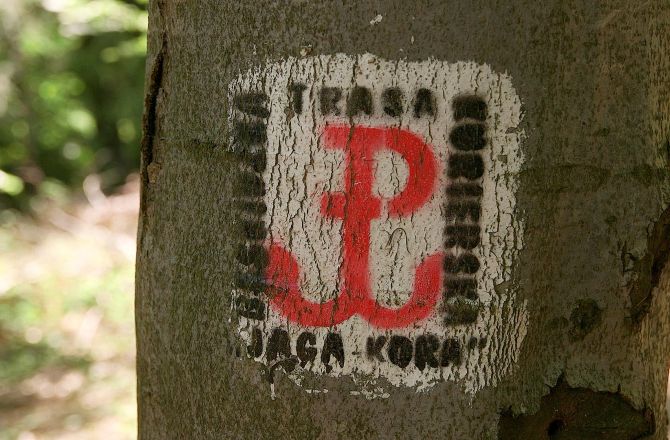 ZNAKOWANIE SZLAKU JAGA KORA // BESKID NISKI // UNIWERSYTET RZESZOWSKI