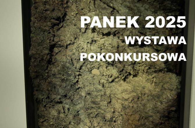 Wystawa pokonkursowa PANEK 2025 najlepszych prac dyplomowych na Wydziale Sztuk Pięknych UR w 2025 r.