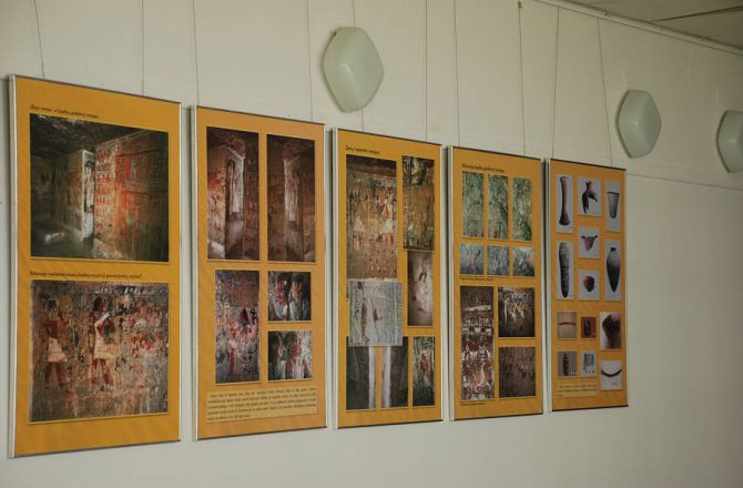 „Polski wezyr Merefnebef” – wystawa prezentująca wyniki badań prof. K. Myśliwca