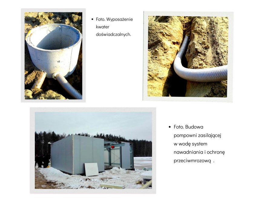 Infrastruktura techniczna na polu żurawiny