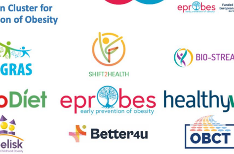 EprObes – Early Prevention Of Obesity