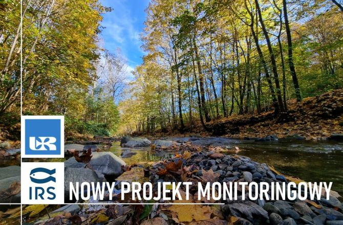 zdjęcie potoku z kamienistym dniem, u góry drzewa w jesiennych barwach. Na zdjęciu napis „nowy projekt środowiskowy” oraz loro UR i IRŚ.