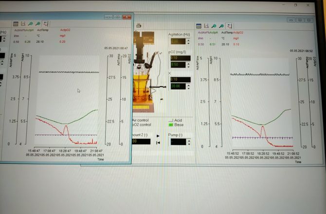zapis parametrów hodowli