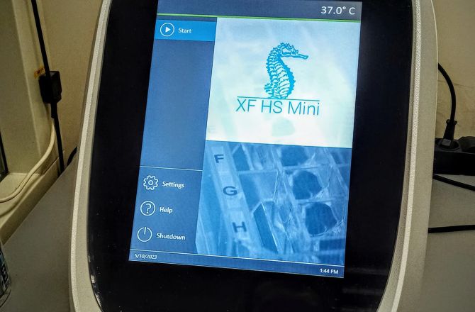 widok aparatu Seehorse