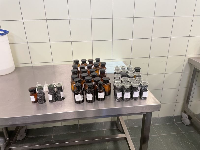 Dzień Maturzysty w ITŻiŻ 24.11.2022