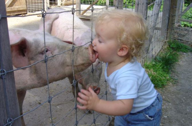 Z fototeki Sekcji Fotograficznej.