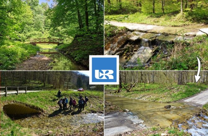 zdjecia prezentujące przejazdy w bród, most oraz przepust, w tle bieszczadzki las