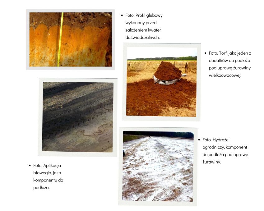 Zdjęcia gleby