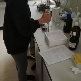 studentka Eramus VET