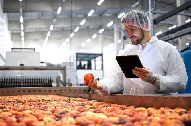KIERUNEK STUDIÓW TECHNOLOGIA ŻYWNOŚCI I ŻYWIENIE CZŁOWIEKA