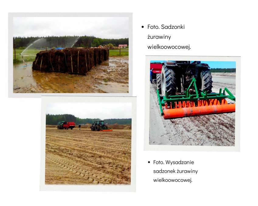 Pole uprawne z maszynami rolniczymi