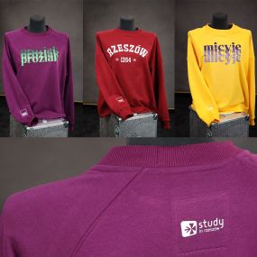 Bluzy Study in Rzeszów - 171,62 zł