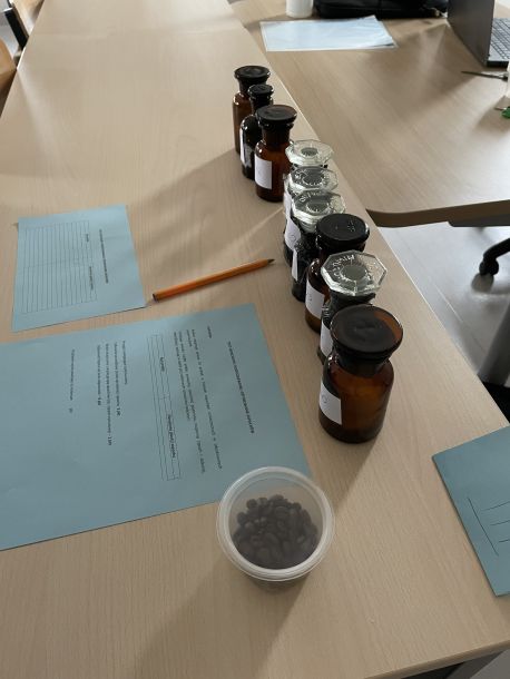 Dzień Maturzysty w ITŻiŻ 24.11.2022