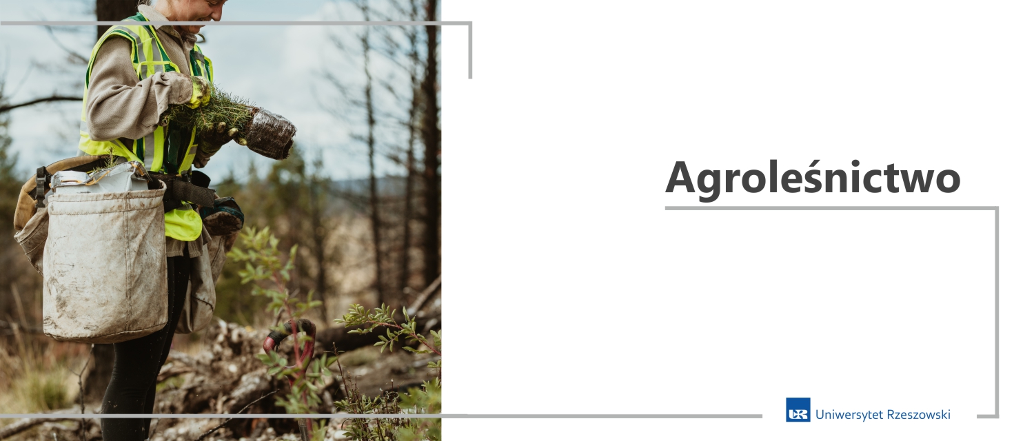 agroleśnictwo