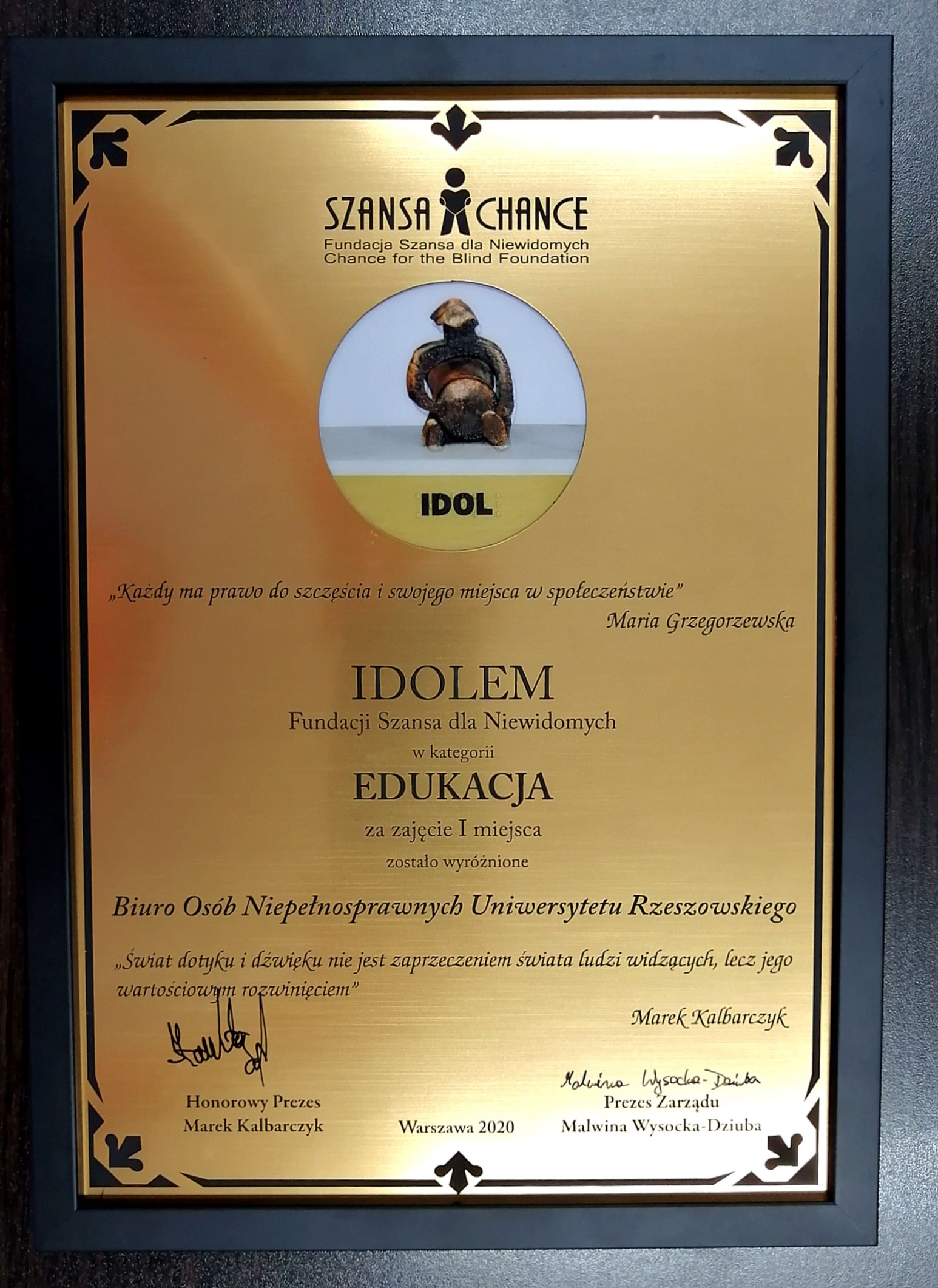 fota IDOL (2).jpg [362.79 KB]