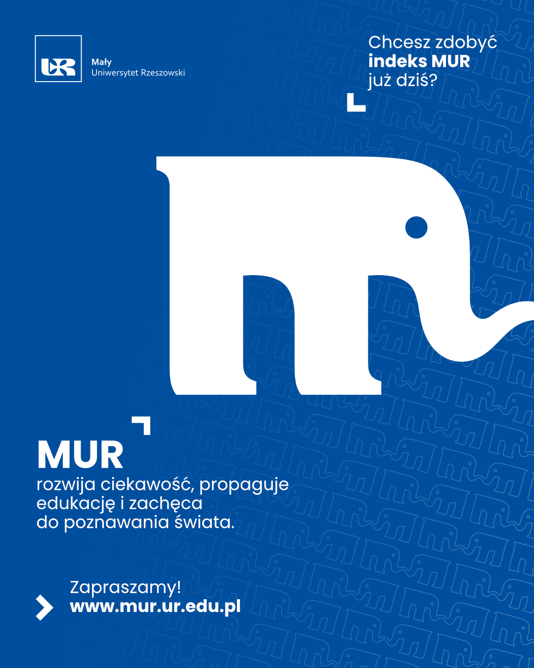 mur.png [375.05 KB]