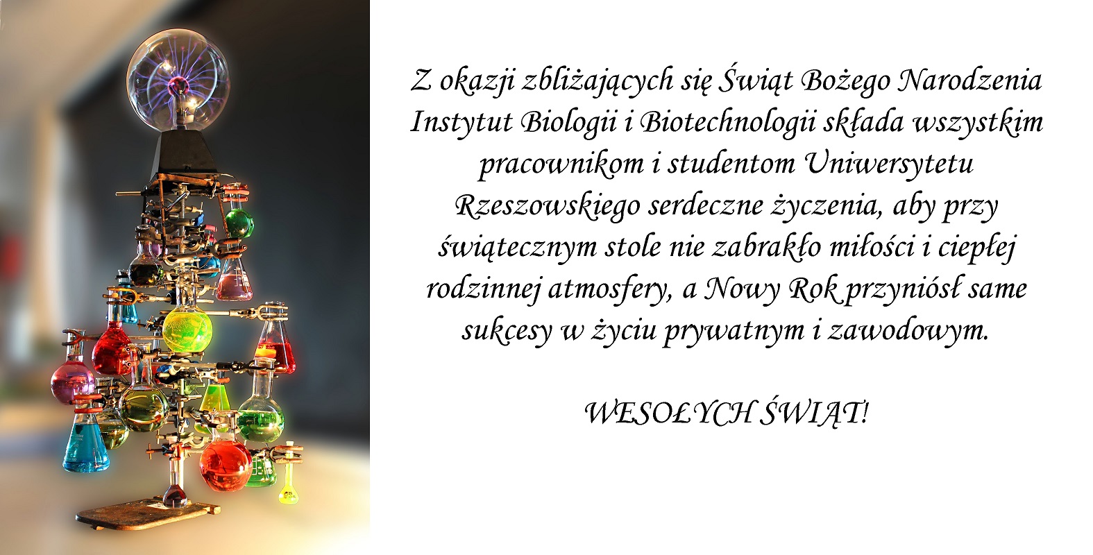 Christmas życzenia.jpg [318.66 KB]