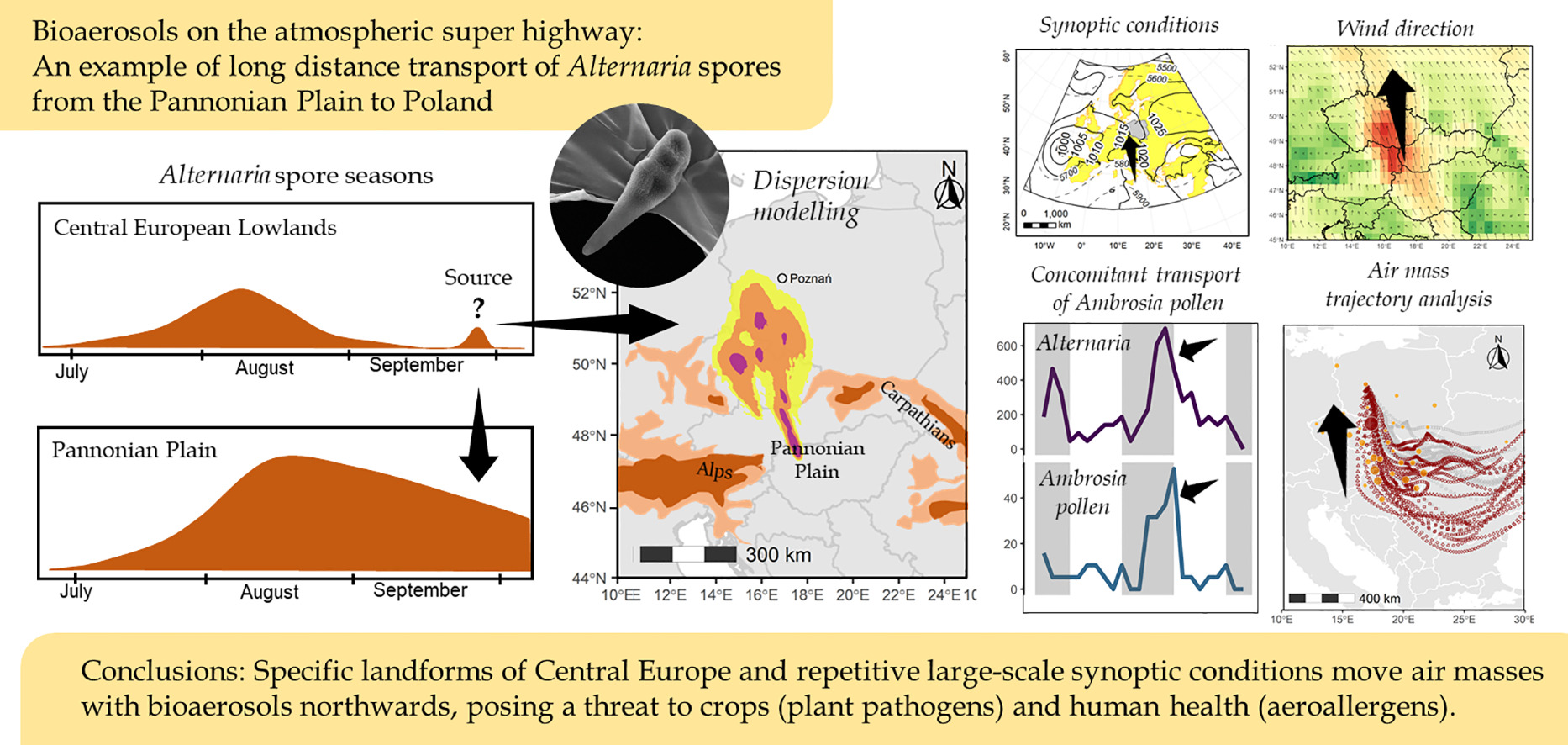 abstrakt graficzny.jpg [430.17 KB]