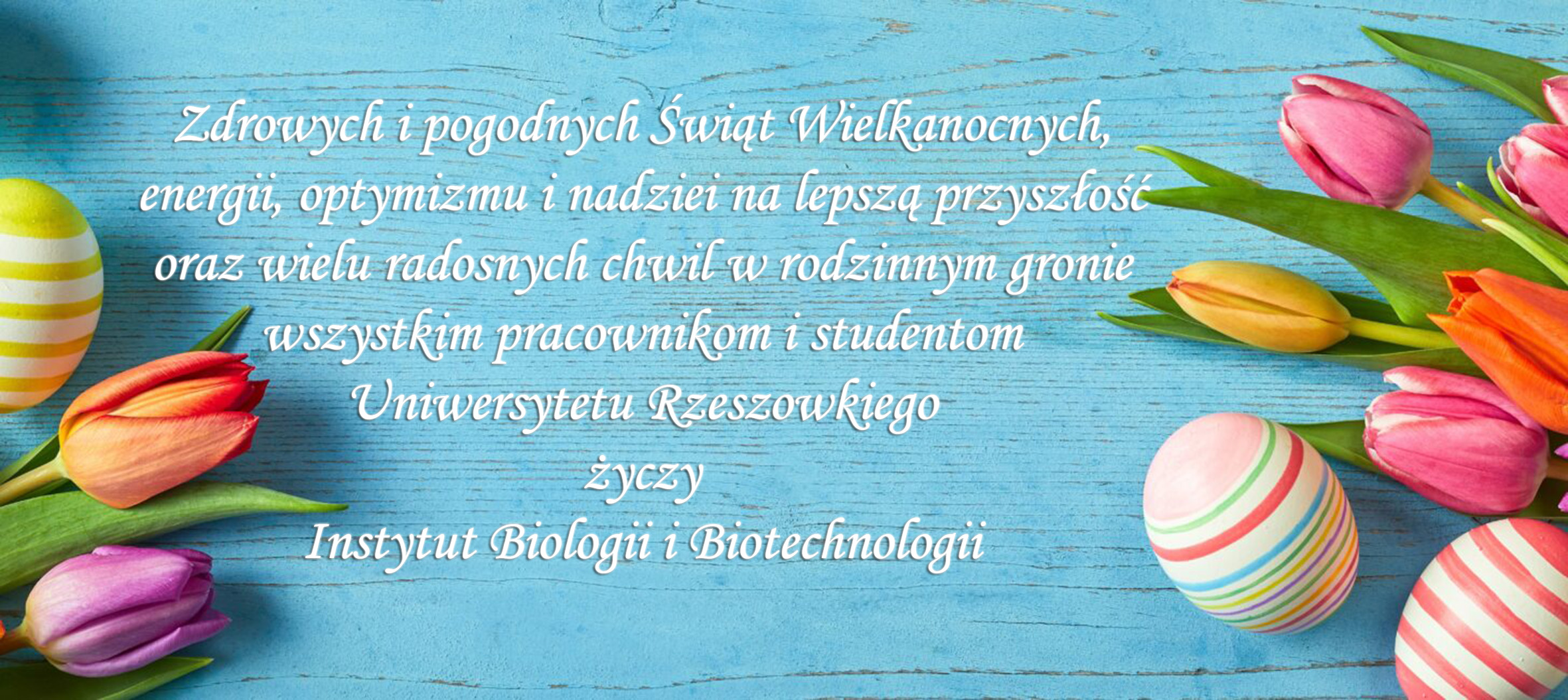 zyczenia wielkanoc.jpg [768.13 KB]