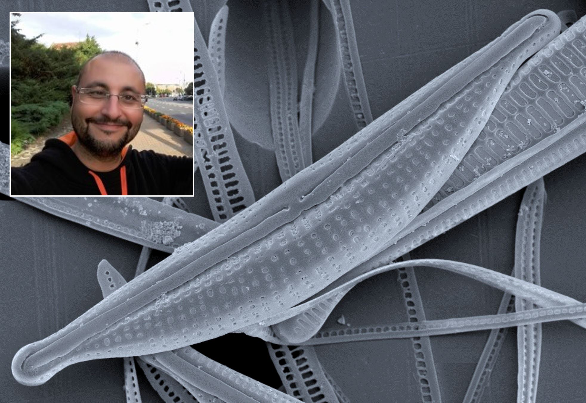 Portret Profesora Solaka na tle zdjęcia okrzemki z mikroskopu elektronowego