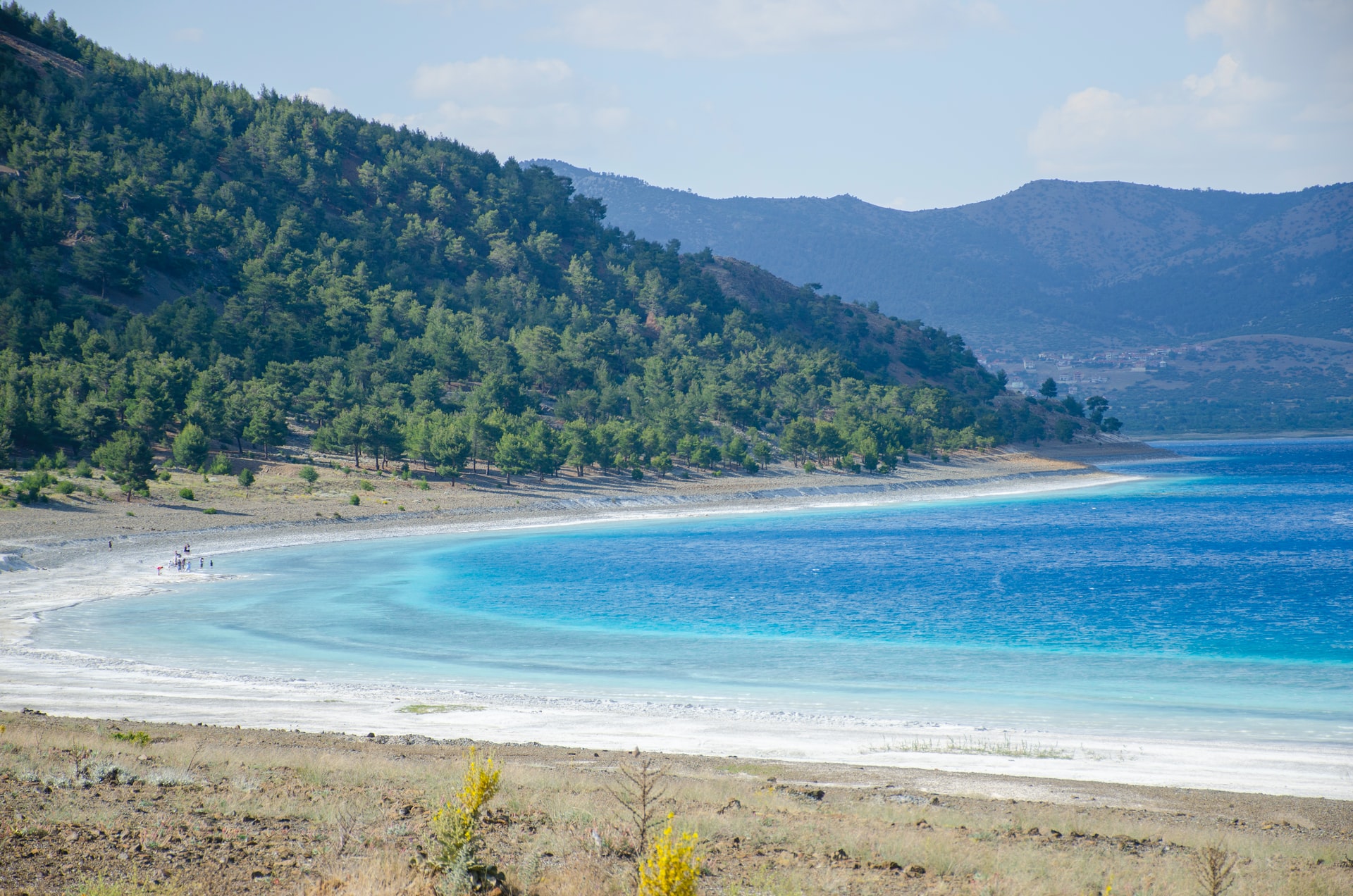 11 (2).jpg [541.23 KB]