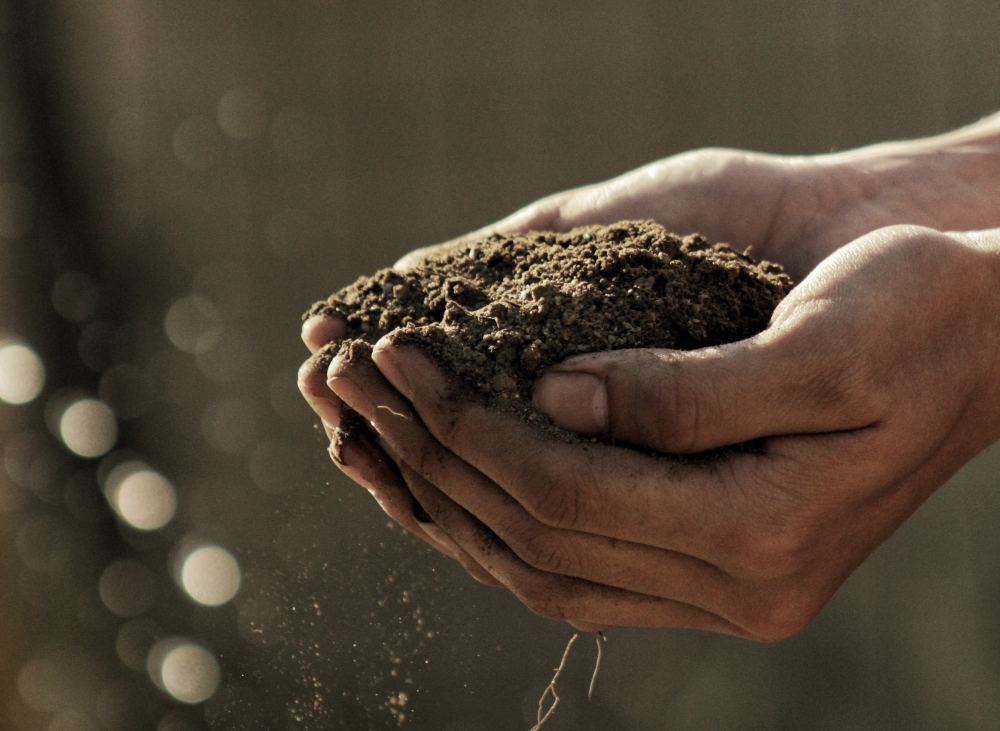 zdjęcie dłoni trzymających glebę