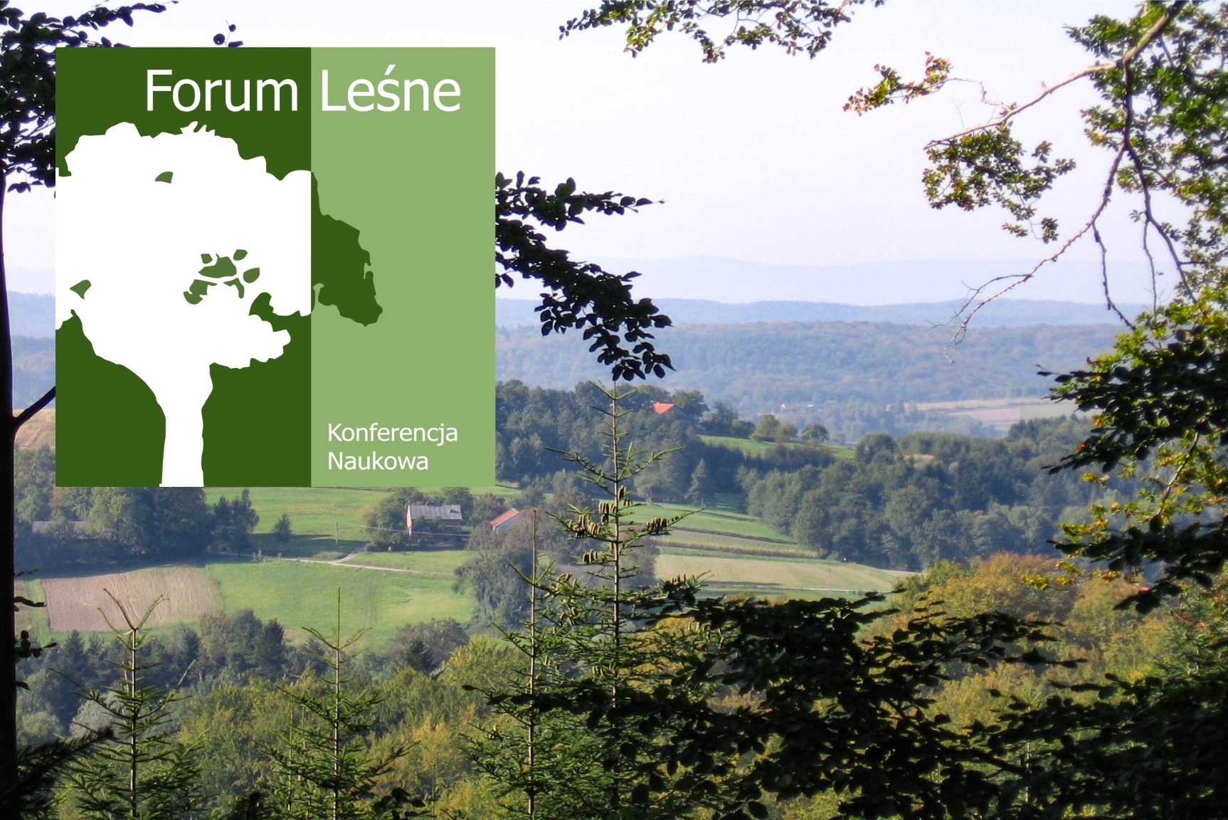 logo konferencji w kształcie drzewa na tle zdjęcia lasu