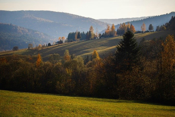 Rozległe zielone pole trawy rozciągające się ku horyzontowi, z grupami drzew na dalszym planie oraz widocznymi pasmami gór w tle pod jasnym niebem.