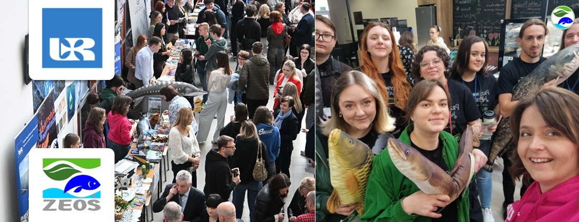 dwa sąsiadujące ze sobą zdjęcia. Po lewej widok z góry na osoby biorące udział w targach, po prawej grupa studentów z pluszowymi gadżetami pozuje do zdjęcia z nauczycielem.