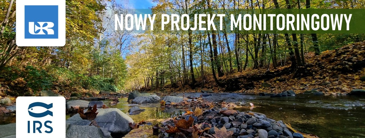 zdjęcie potoku z kamienistym dniem, u góry drzewa w jesiennych barwach. Na zdjęciu napis „nowy projekt monitoringowy” oraz loro UR i IRŚ.