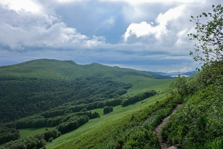 Zielone wzg&oacute;rza w Bieszczadach z wyższymi pasmami g&oacute;r w tle, białymi chmurami i niebieskim niebem w świetle dziennym, tworzące naturalny krajobraz.