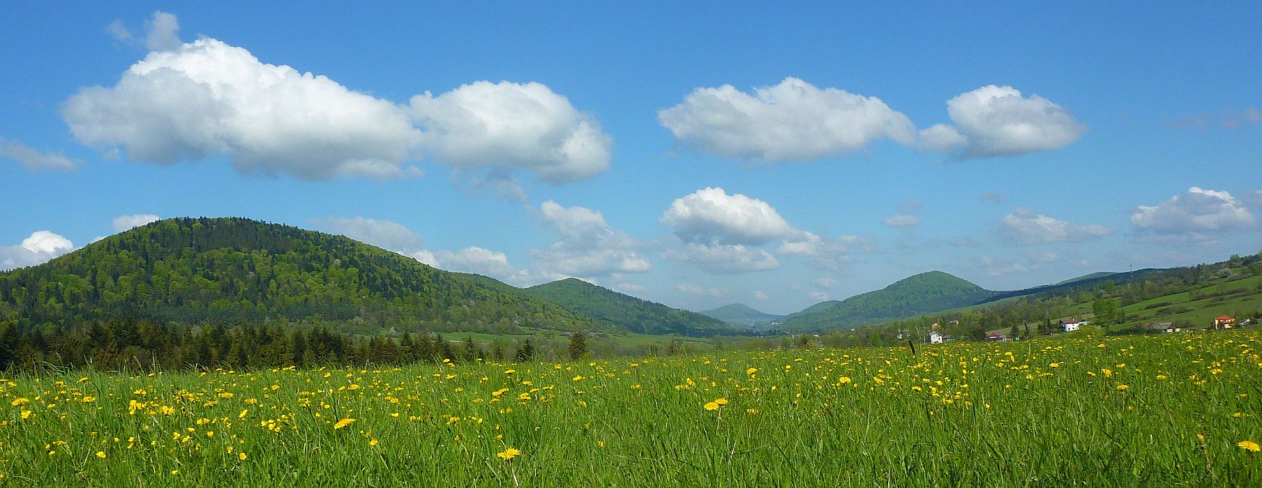 2nd Conference Emerging environmental contaminants – current status, challenges and perspectives - Rzeszów 2026